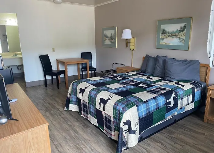 Motel Deer
